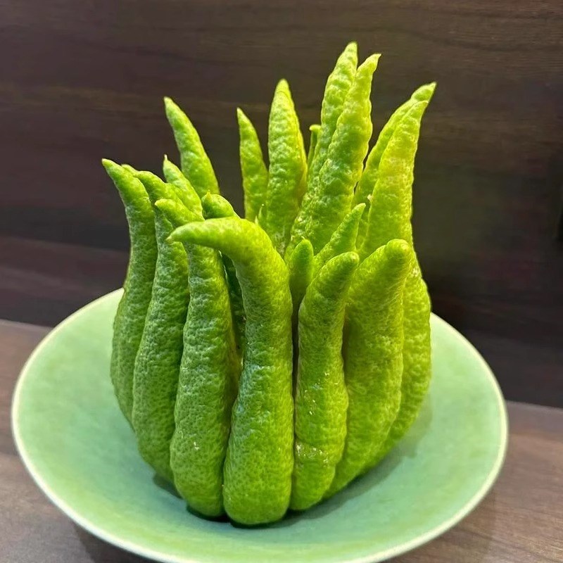 速发佛手柑鲜果带培水枝切南直发鲜云枝佛手干插花水养摆件佛手果