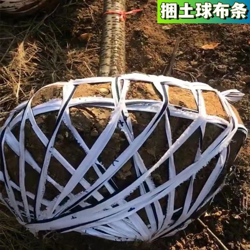 速发布条果树拉枝绳扎绳绳玉一土球捆带米杆捆件可批一件