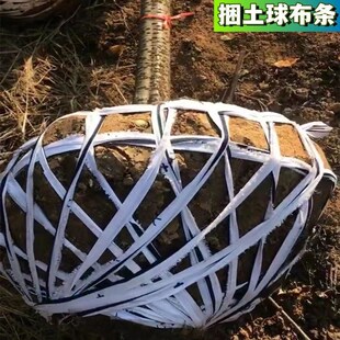 速发布条果树拉枝绳扎绳绳玉一土球捆带米杆捆件可批一件