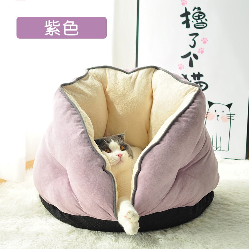 速发 litt r dog keel more witer wm bedepet  a