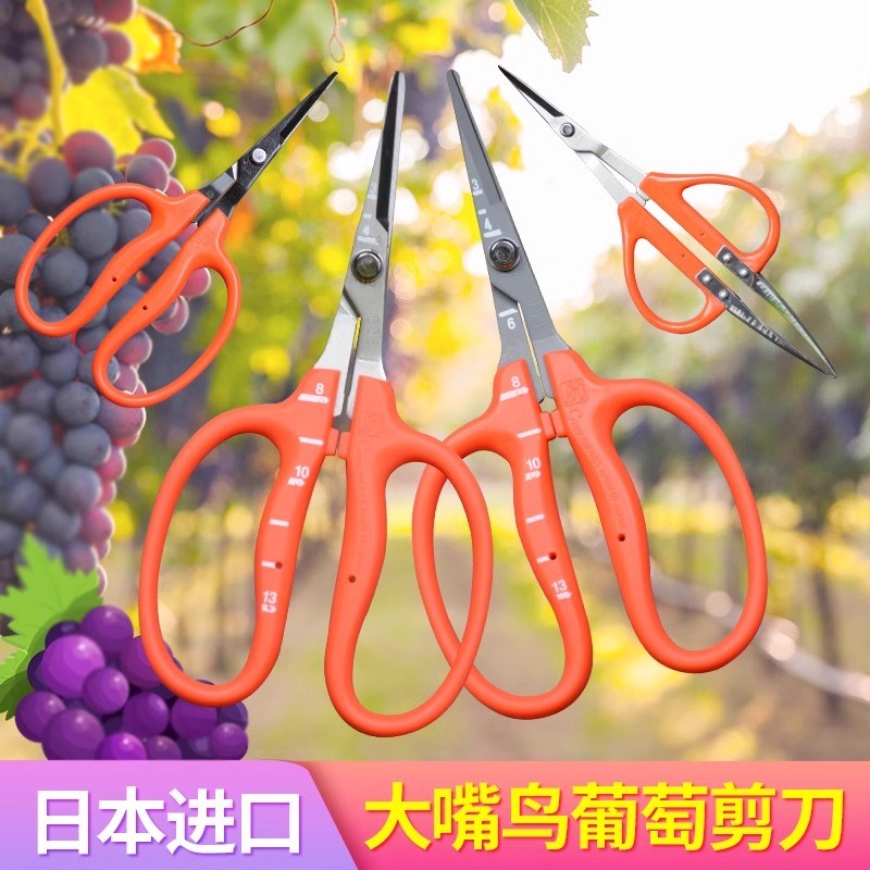 速发近正c鸟hikas剪光玫瑰葡萄采摘疏果修枝专用a刀