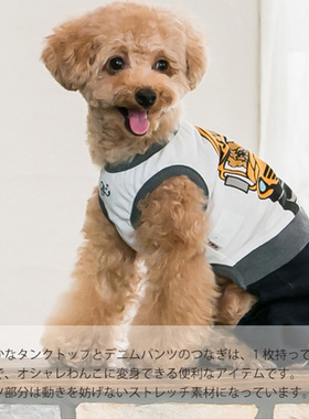 速发 sogiod   sprig