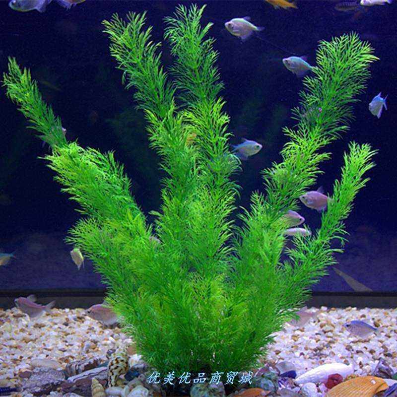 速发花功能鱼缸号饰水草塑料鱼池植物底部大装缸多草布景热带鱼缸