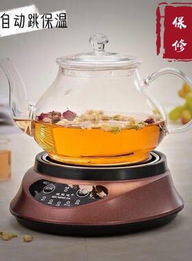 斌能达养生壶电热泡茶炉Q60A配耐高温玻璃茶壶煮茶器煮补品煮花茶