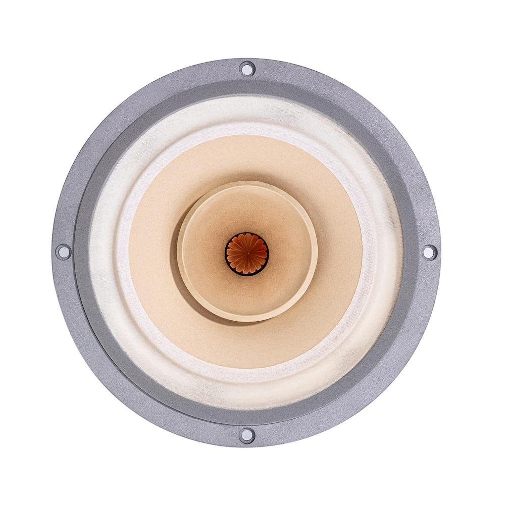 Lii Song（丽颂）8寸全频HiFi喇叭 全频扬声器单元 fast-8 一对