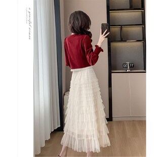 速发新中式轻国风禅意套装裙子春秋高级感洋气网纱半身裙时尚两件