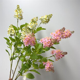 速发花 头千蕨花 兰花小清新粉色家居插花摆装件饰 婚庆花艺