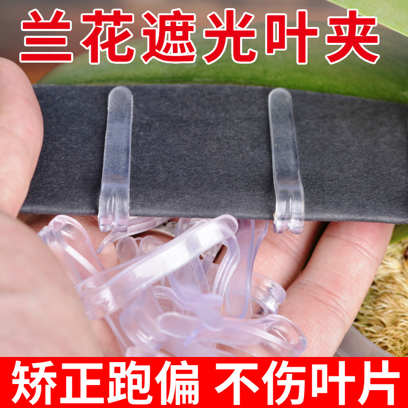 速发君子兰叶片夹正器矫子蝴蝶兰花定型扶正矫正线整形遮光纸工具