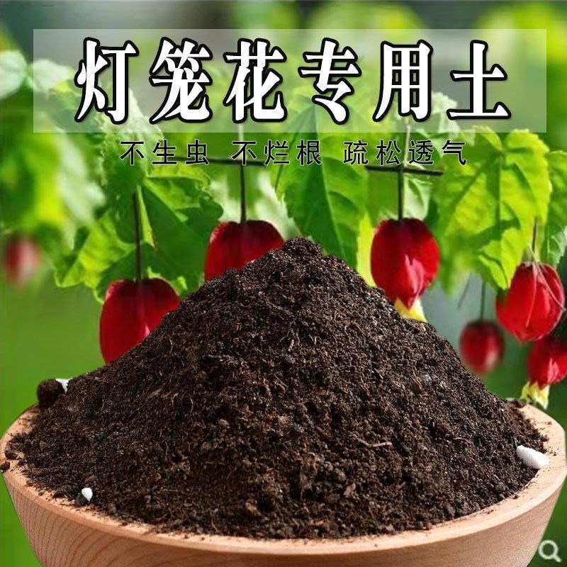 速发灯笼花土灯笼花营养土盆栽土土花种花土用通种植养壤肥料