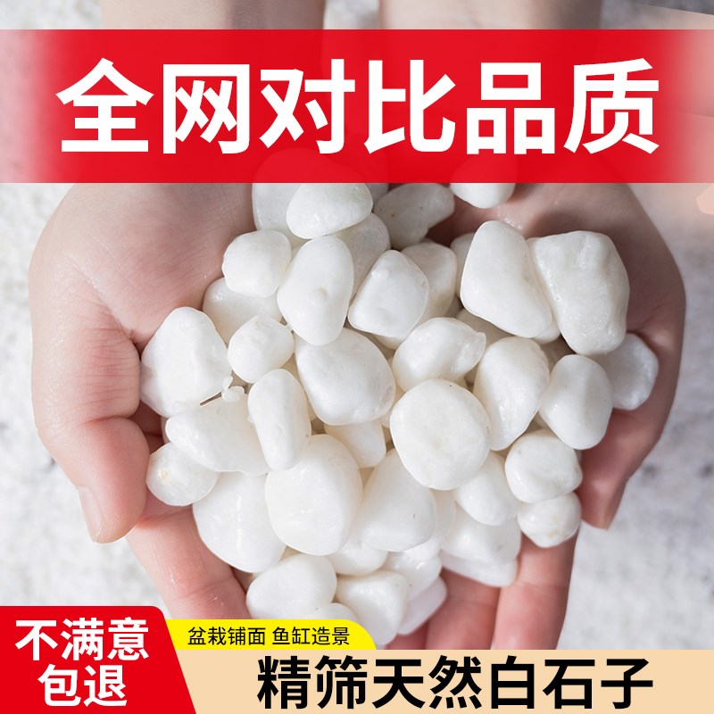 速发小花石子白石头鹅卵石雨白石花盆盆栽鱼缸底部砂石造景多肉铺