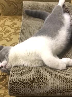 速发 scratch bod shpeer  est  scratch pad  y