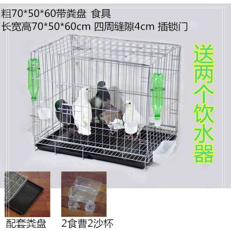 速发养殖养鸡鸭兔子鸽子笼子铁丝笼信鸽养殖笼配对笼鸽具用品用具