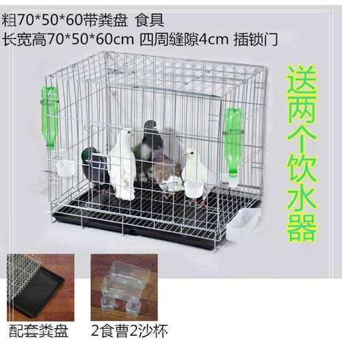 速发养殖养鸡鸭兔子鸽子笼子铁丝笼信鸽养殖笼配对笼鸽具用品用具