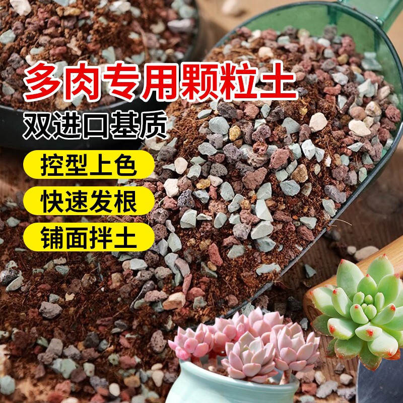 速发多肉用养土颗粒土壤炭植栽培土养花通营型泥种植物花土铺面石