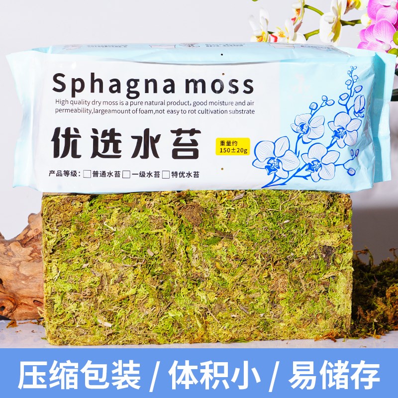 速发干苔藓优质青苔石斛兰花种植土爬宠乌龟垫材蝴蝶兰花水苔
