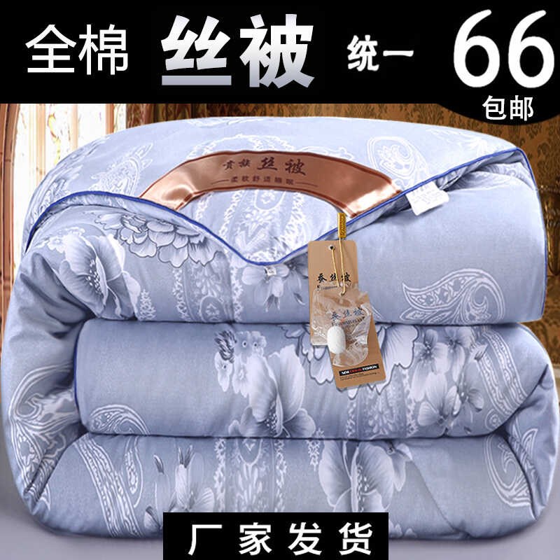 速发冬厚被棉被子冬被桑丝棉被芯保暖春秋加季双人太空全冬天棉絮