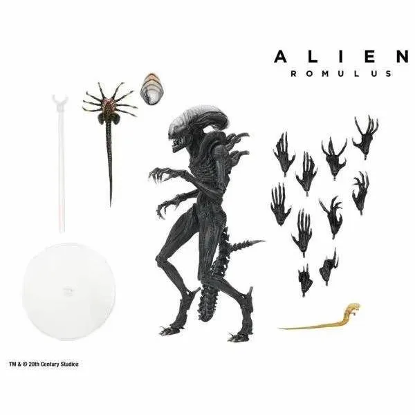 NECA 夺命舰 异形 Alien 新电影 罗穆卢斯 10寸可动手办模型