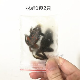 冷冻保鲜蚂蚱蟋蟀杜比亚蟑螂 龙鱼饲料 冰冻昆虫冻虾补钙发色