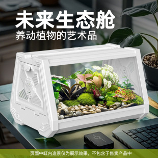 NOMOYPET生态造景缸桌面鱼缸龟缸水族箱水草缸雨林缸乌龟缸