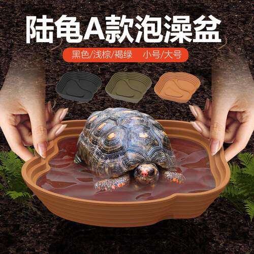 NOMOYPET爬宠缸雨林乌龟洗澡盆