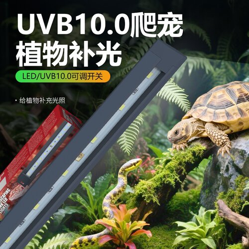 爬宠LEDUVB10.0鬃狮变色龙陆龟