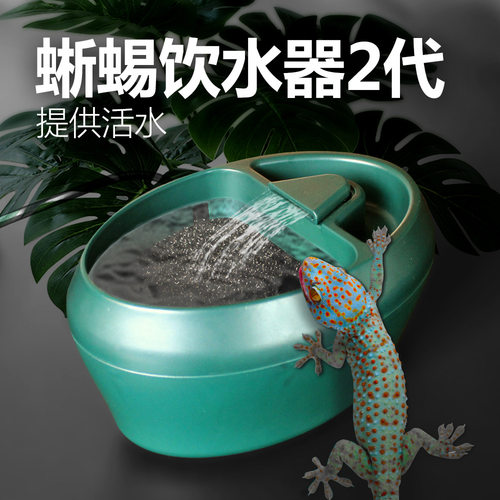 诺摩蜥蜴喂水器营造自然提供活水