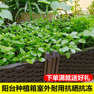 家庭环保蔬菜种植箱特大阳台种菜盆长方形塑料花箱种花盆树盆花箱