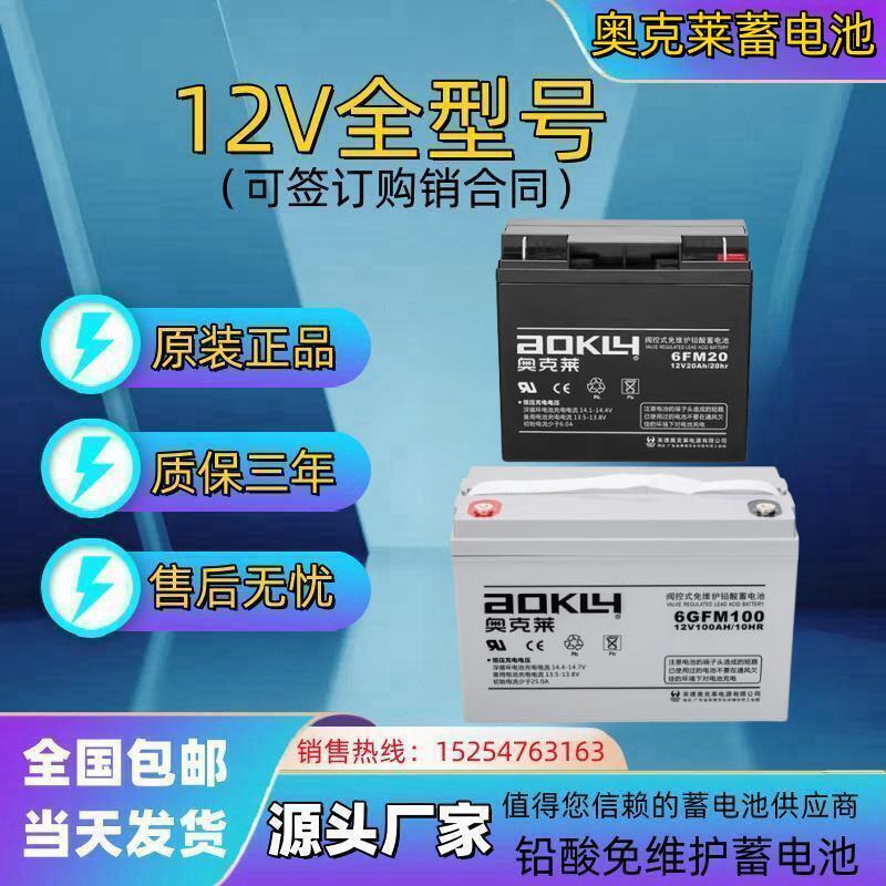 AOKLY12V7ah9a19a18a20a24ah38a40a55a65a100ah120ah 鲜花速递/花卉仿真/绿植园艺 割草机/草坪机 原图主图