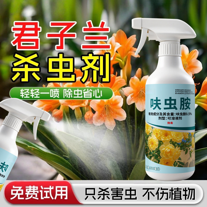 君子兰杀虫剂花卉呋虫胺专用驱虫药叶子非发黄除虫通用型灭虫除虫