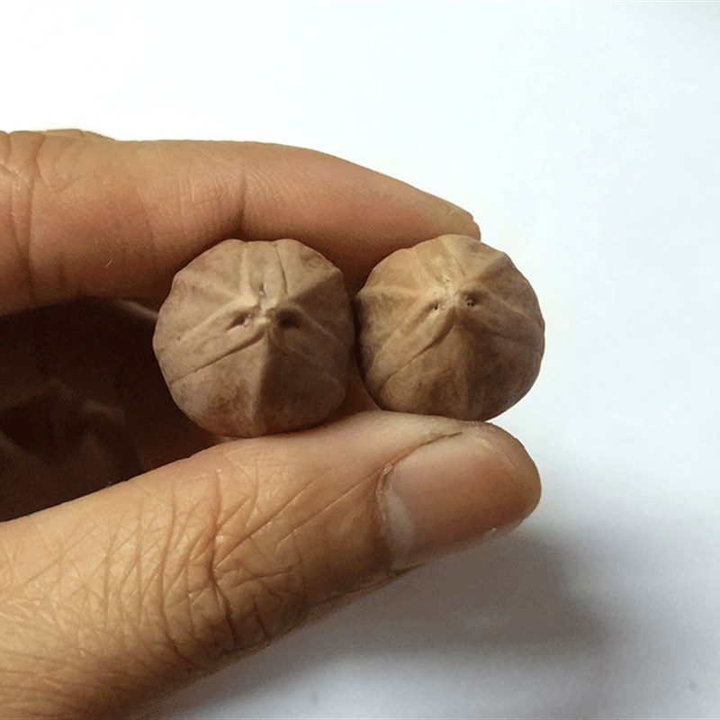 极速橄榄核短圆核罗汉头油核素盒原皮核雕手串铁油橄X榄核男女橄