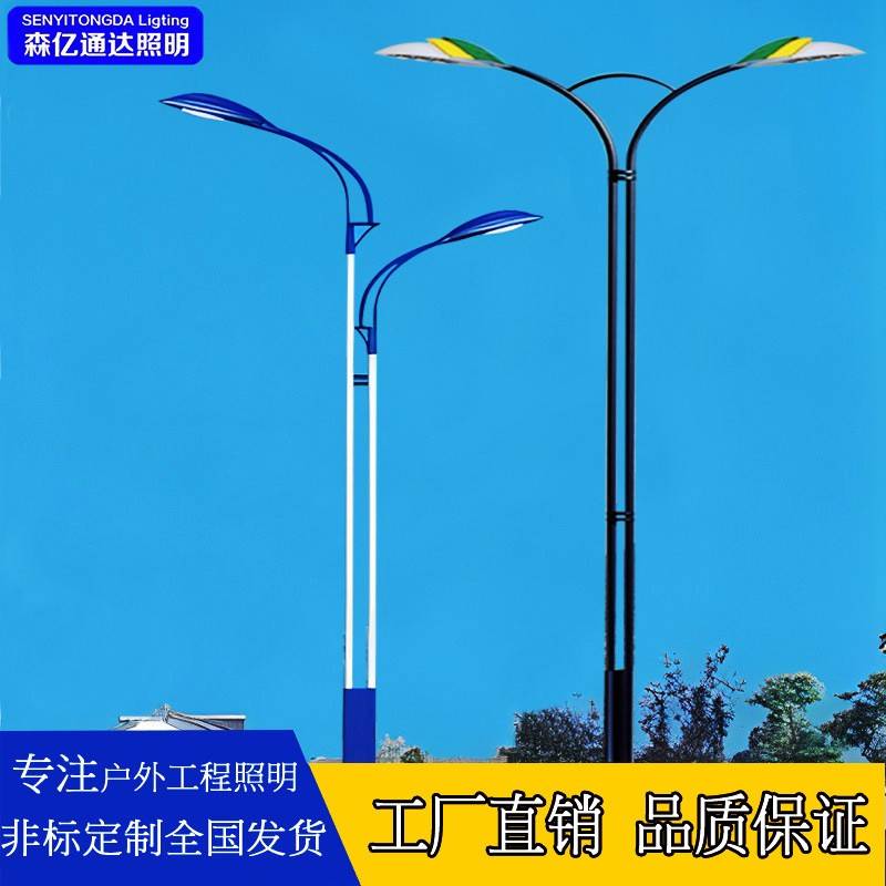白色Q235热镀锌市政工程户外路灯大功率led防水灯具中山路灯厂家