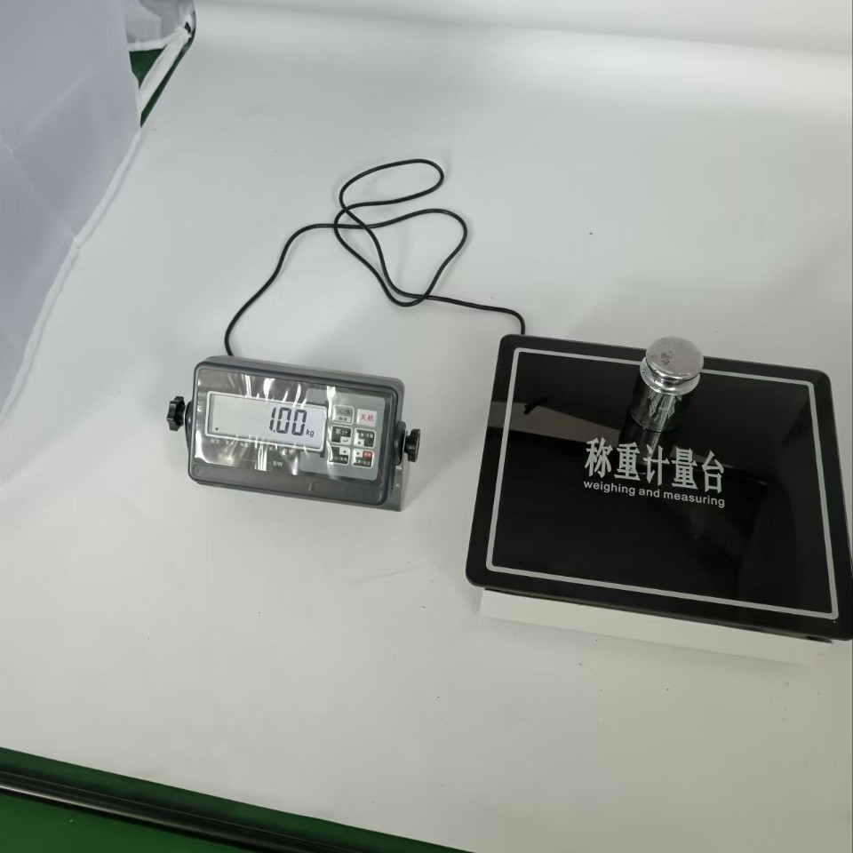 100kg  200㎏ 体重秤 学校健身房专用体重