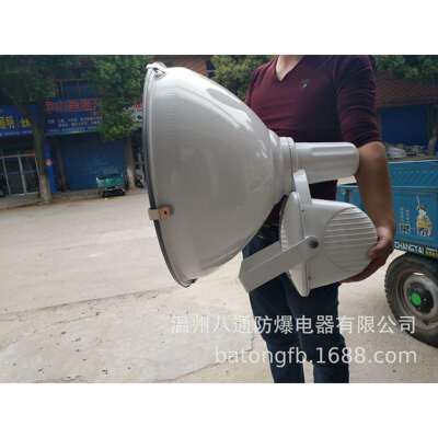 ZT6900A防水防尘防震投光灯，ZT6900投光灯，防震投光灯 ZT6900