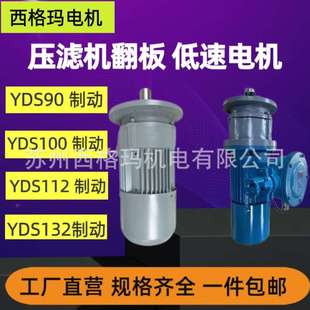 低速大扭矩電機(jī)帶制動剎車 廠家直供YDS100低速電動機(jī)同軸式