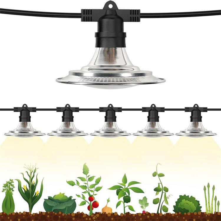 全光谱植物串灯温室户外防水温室花园生长灯草莓火龙果补光灯