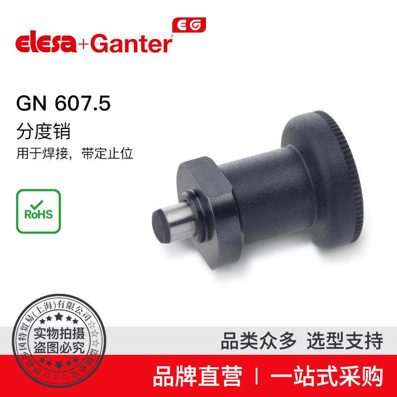 Elesa Ganter伊莉莎冈特 GN 607.5分度销 用于焊接 带定止位