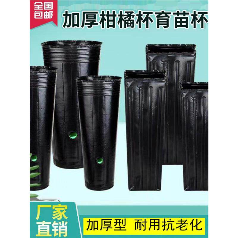 柑橘苗营养钵育苗盆加厚高塑料方口营养杯育苗杯农用营养袋育苗袋