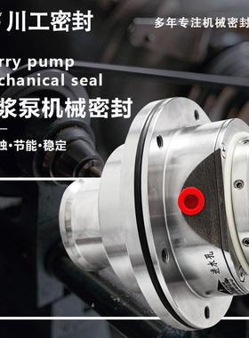 渣浆泵专用机封 R40HS-BLC65/350I 机械密封型号及规格尺寸意思