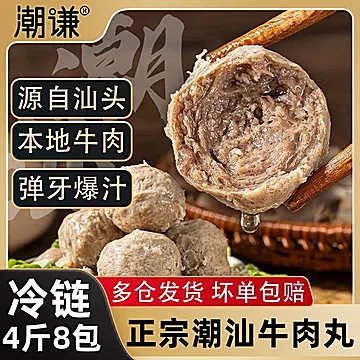 潮汕牛肉丸正宗牛肉丸牛筋丸