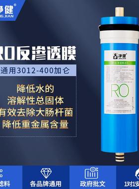 净健RO膜滤芯3012-400反渗膜膜纯水机滤芯净水器滤芯商务纯水机用