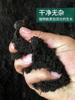 新品云南腐叶土松针腐殖营养土100斤包邮绿植多肉花卉种菜种植培