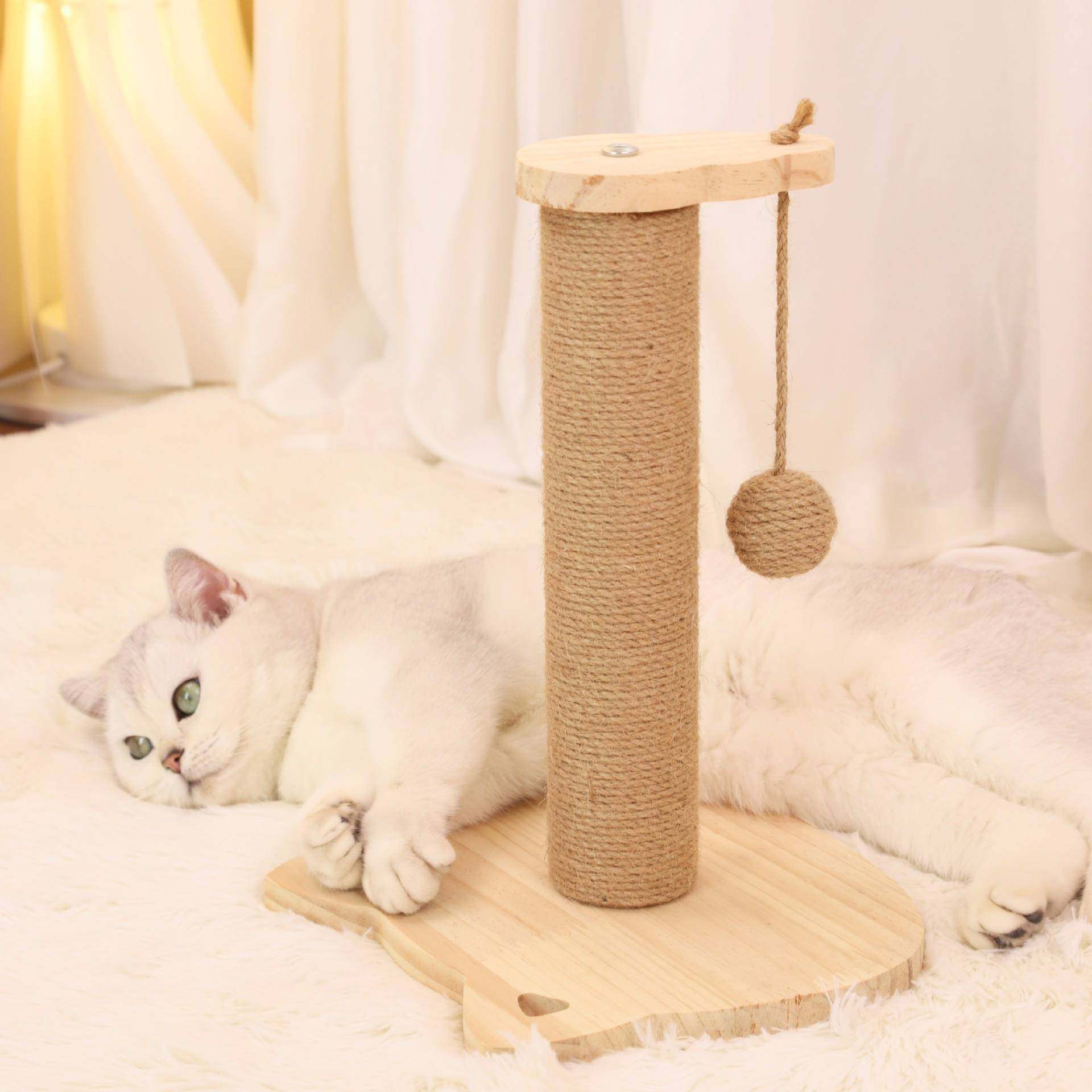猫抓柱实木猫玩具猫抓板不掉屑剑麻柱剑麻吊球可替换猫咪玩具,宠物/宠物食品及用品,宠物智能玩具,淘宝优惠券,粉丝福利购,淘宝优惠卷