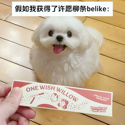 许愿柳支条痴迷一柳成愿祈愿棒