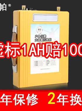 速发户612v伏动力锂大容量蓄锂电铝电瓶户外外0AH100安