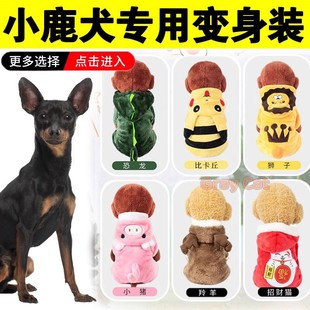 速发迷你杜宾小鹿犬衣服幼犬四冬棉服秋冬季冬天鹿娃犬脚装