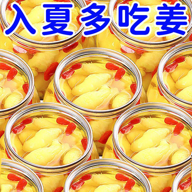 枸杞泡姜芽新鲜嫩姜芽姜牙10袋
