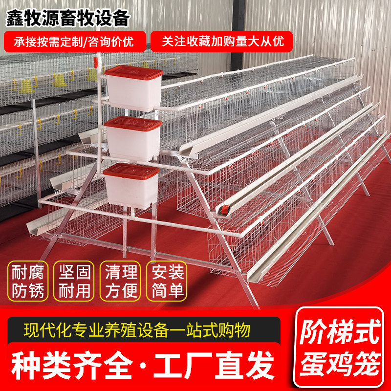 阶梯式蛋鸡笼三层四层多门蛋鸡笼冷热镀锌自动化养鸡设备多层鸡笼