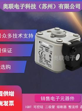 熔断器170M5444 170M5445 170M5446 170M5447 170M5448电容保险丝