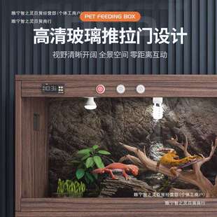 德国饲养盒双蜥蜴饲养箱恒温箱陆龟宠保温箱爬蜥蜴鬃智能守宫温控