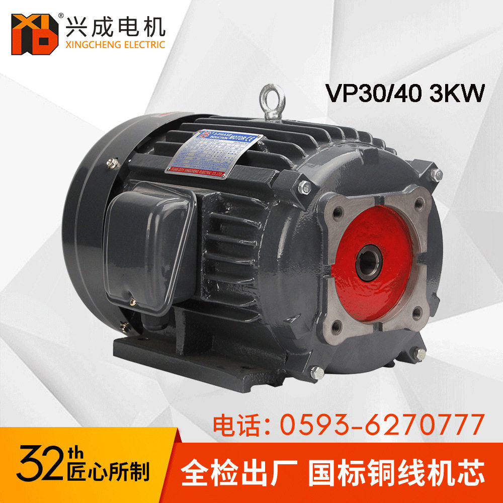机座号YT100L铜线机芯3KW配VP30 VP40叶片泵卧式油泵电机4HP 380V